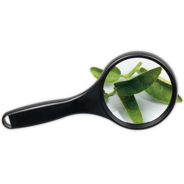 Magnifier - Box of 10